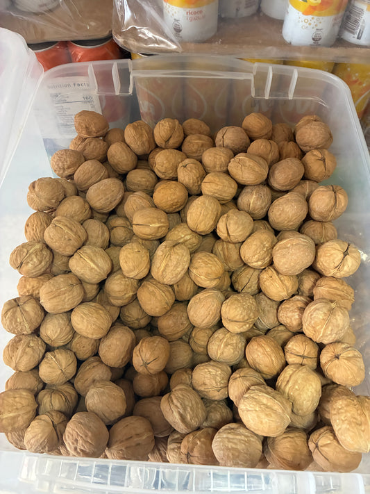 Albanian Shelled Walnuts - 1 LB